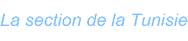La section de la Tunisie