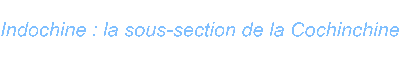 Indochine : la sous-section de la Cochinchine