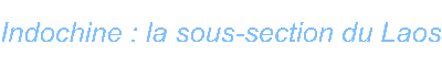 Indochine : la sous-section du Laos