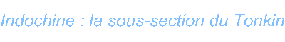Indochine : la sous-section du Tonkin