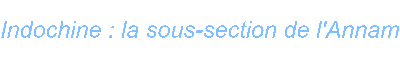 Indochine : la sous-section de l Annam
